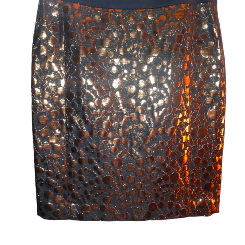 The Limited skirt